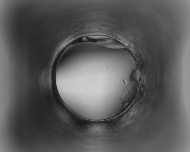 X0000094820248200711161533
