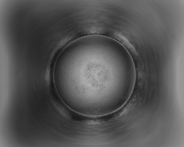 X0000094820250200711161533