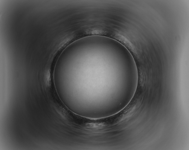 X0000094820251200711161533
