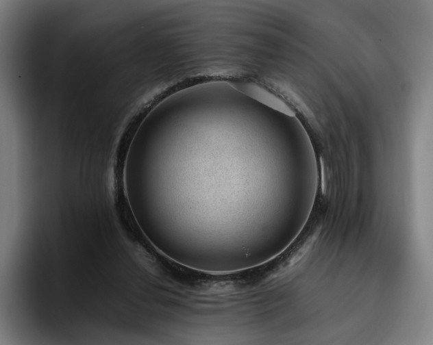 X0000094820252200711161533