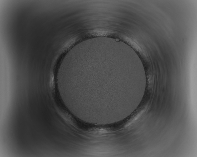 X0000094820254200711161533