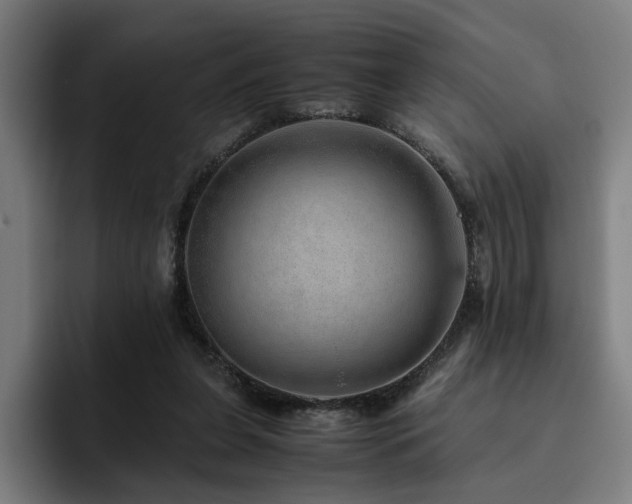 X0000094820255200711161533