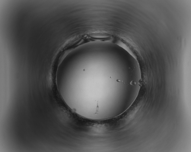 X0000094820256200711161533