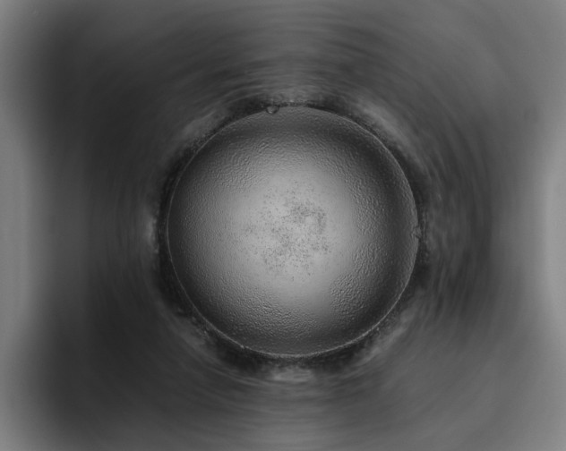 X0000094820258200711161533