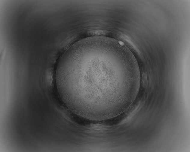 X0000094820259200711161533