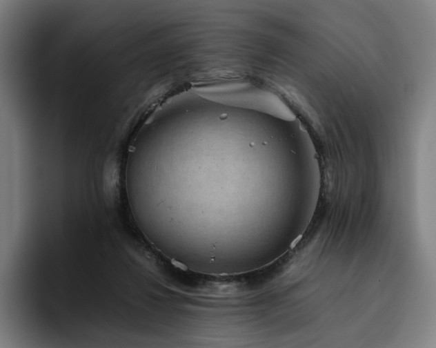 X0000094820260200711161534