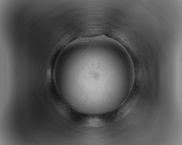 X0000094820262200711161534