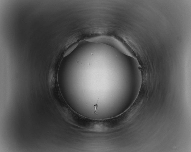 X0000094820264200711161534