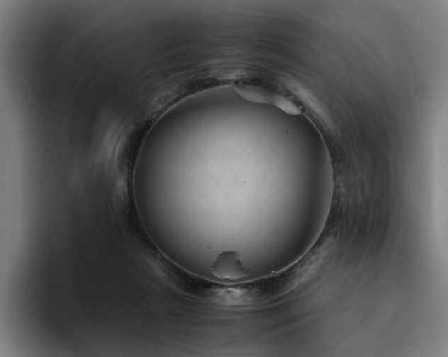 X0000094820265200711161534