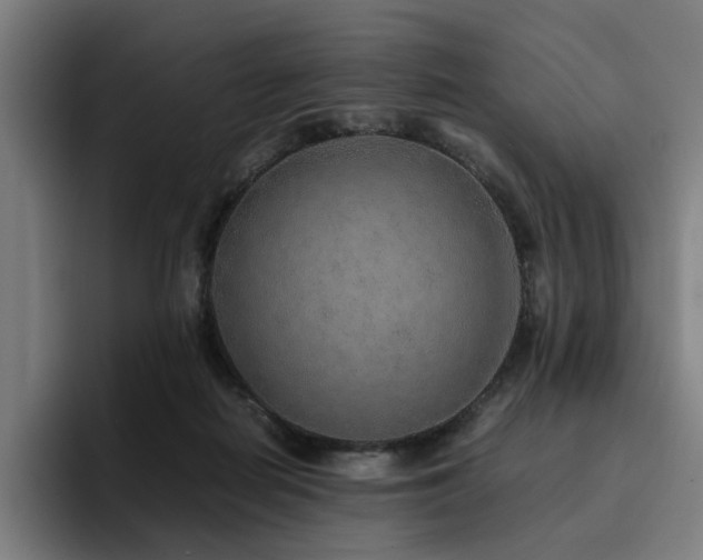 X0000094820266200711161534