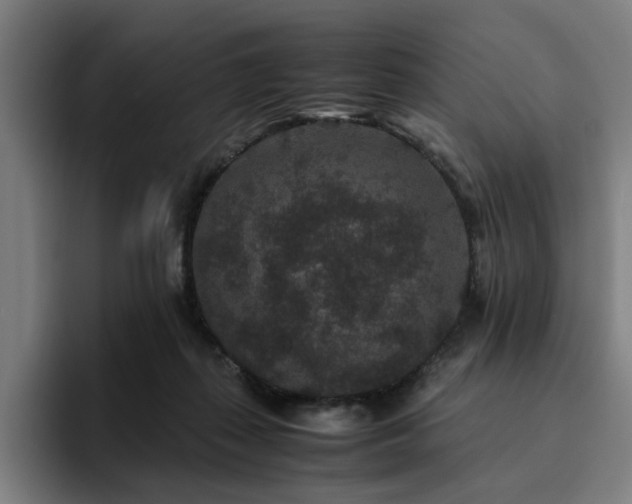 X0000094820267200711161534