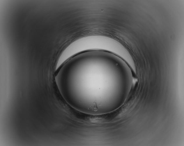 X0000094820268200711161534