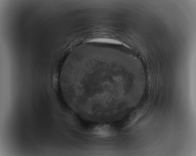 X0000094820271200711161534