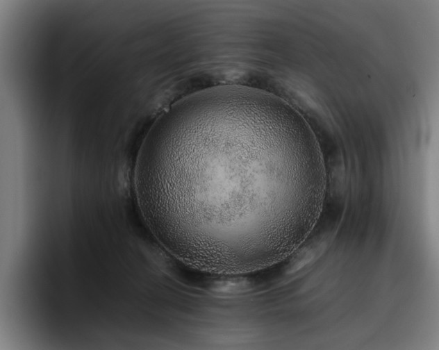 X0000094820274200711161534