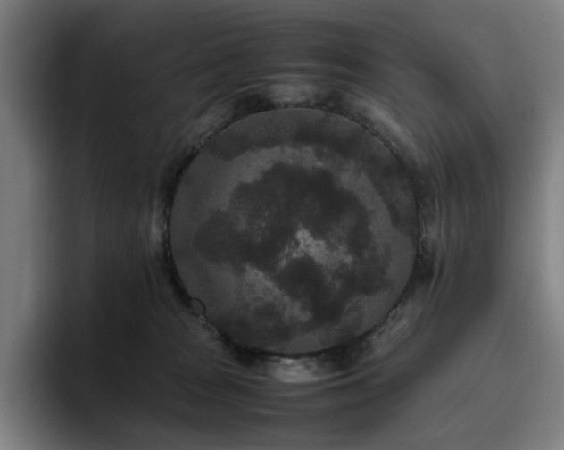 X0000094820277200711161534