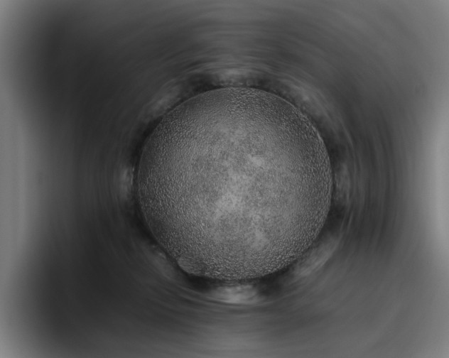X0000094820278200711161534