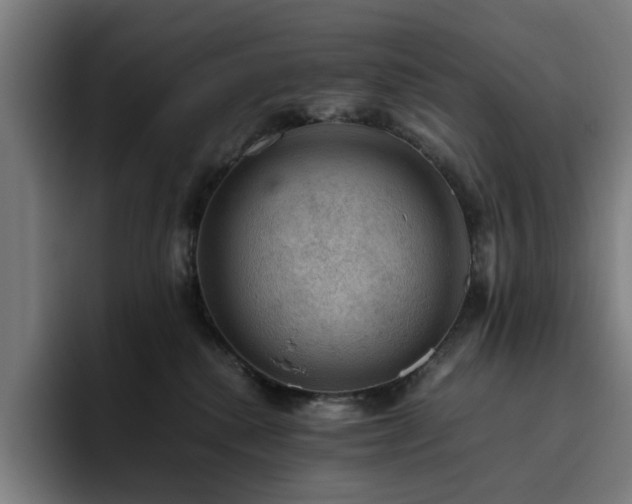 X0000094820280200711161534