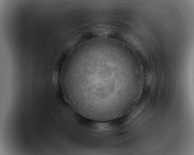 X0000094820283200711161534