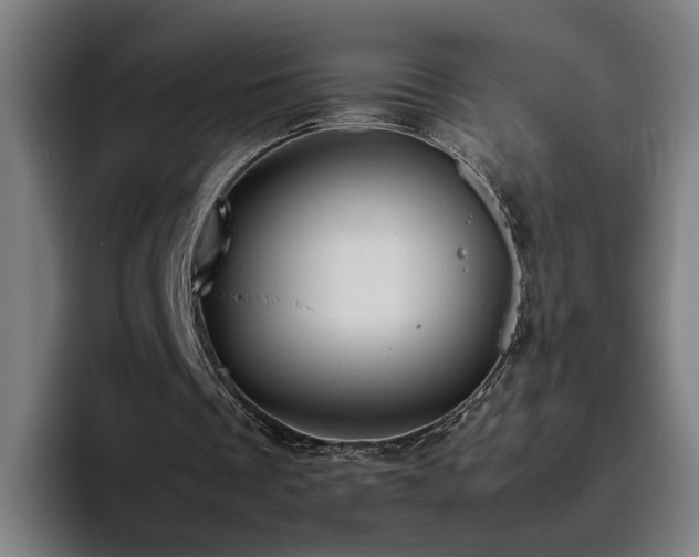 X0000094820289200711161533