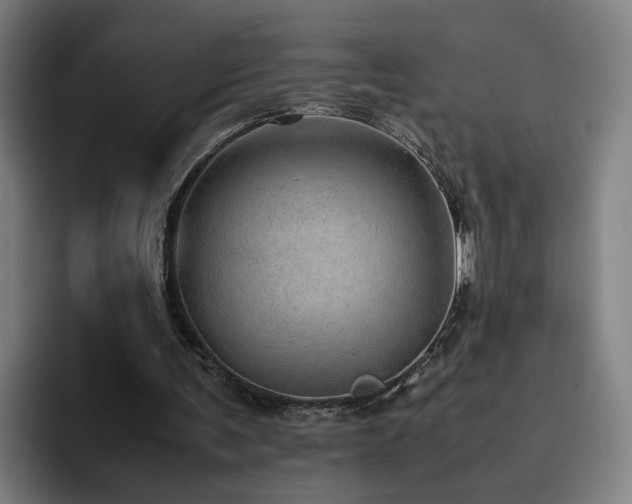 X0000094820291200711161533