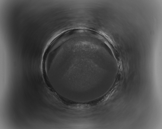 X0000094820292200711161533