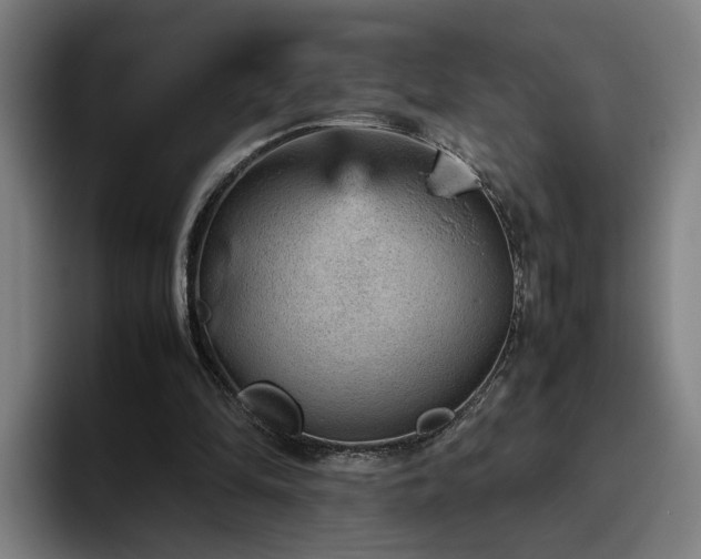 X0000094820294200711161533