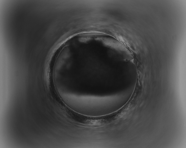 X0000094820295200711161533