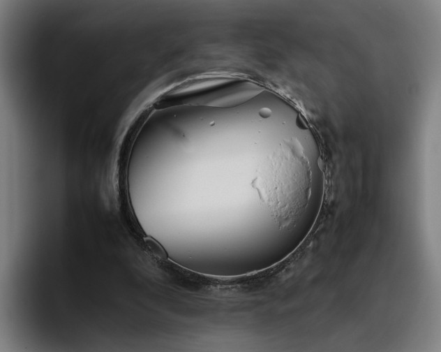 X0000094820296200711161533