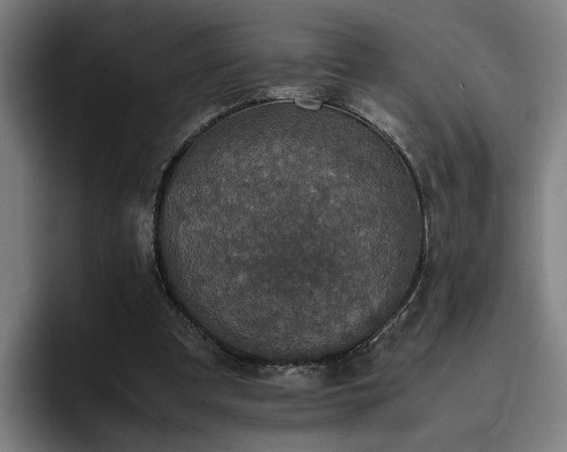 X0000094820297200711161533