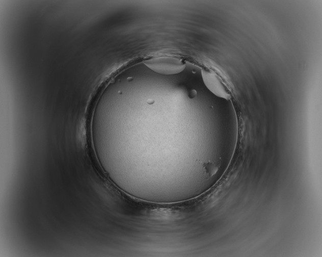 X0000094820298200711161533