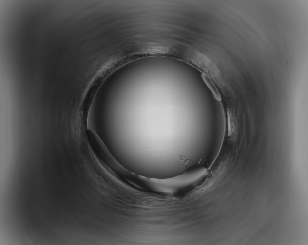 X0000094820300200711161533