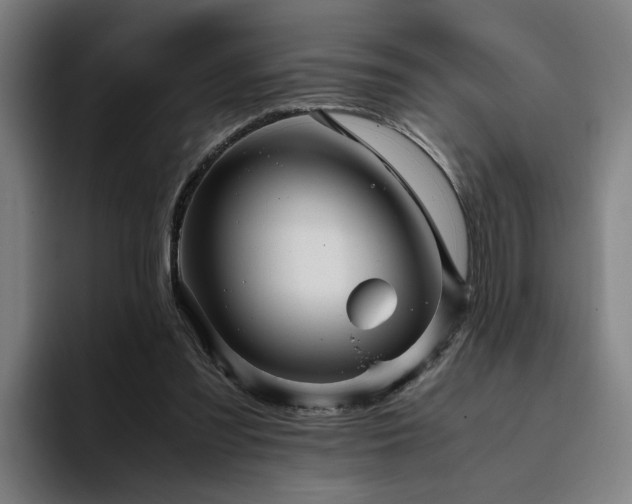 X0000094820301200711161533