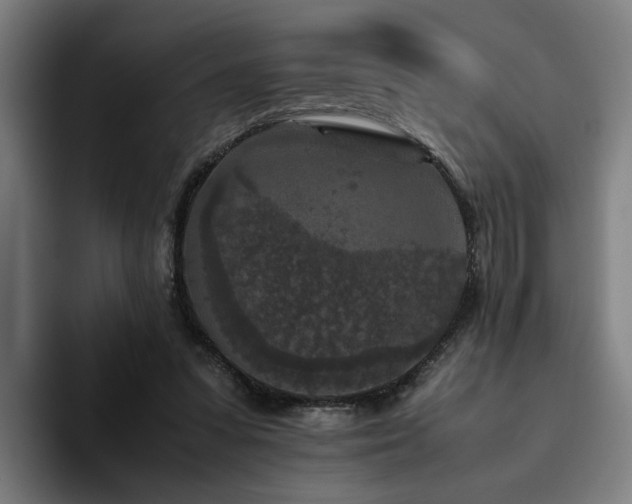 X0000094820303200711161533