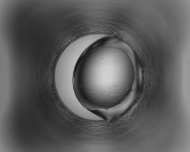 X0000094820305200711161533