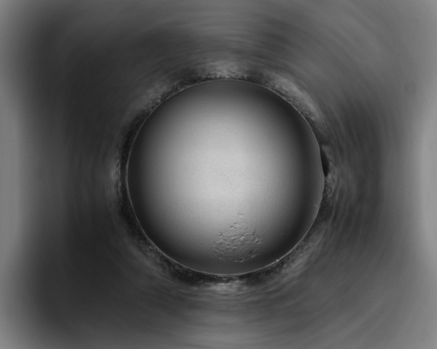 X0000094820306200711161533