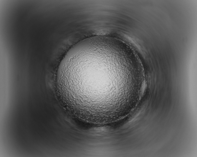 X0000094820307200711161533