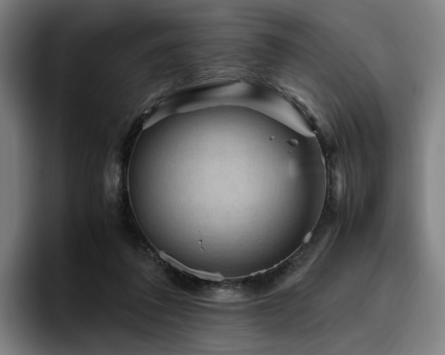 X0000094820308200711161533