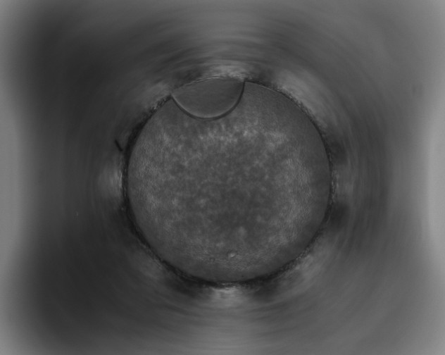 X0000094820309200711161533