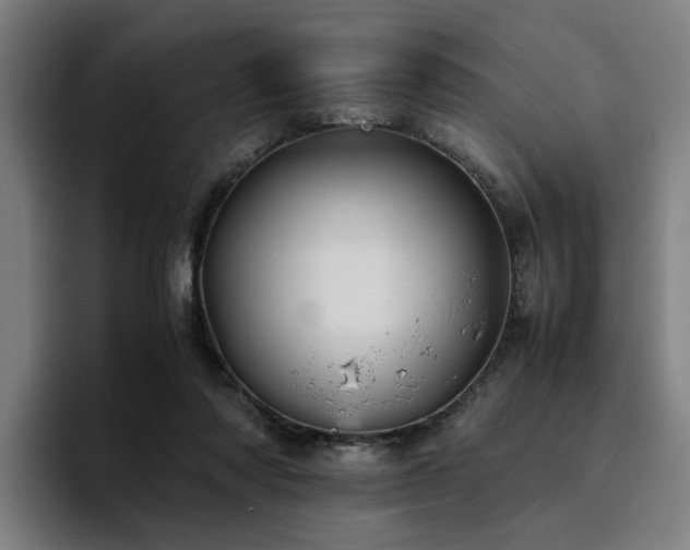X0000094820310200711161533