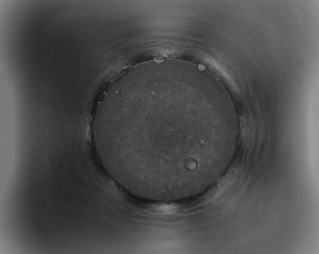 X0000094820313200711161533