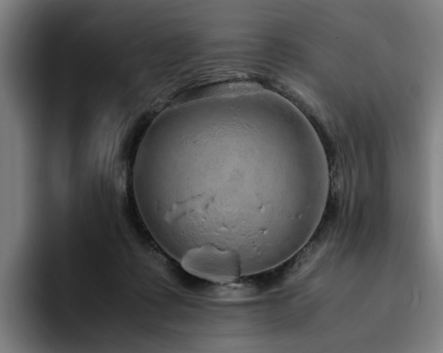 X0000094820315200711161533