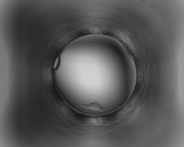 X0000094820317200711161533