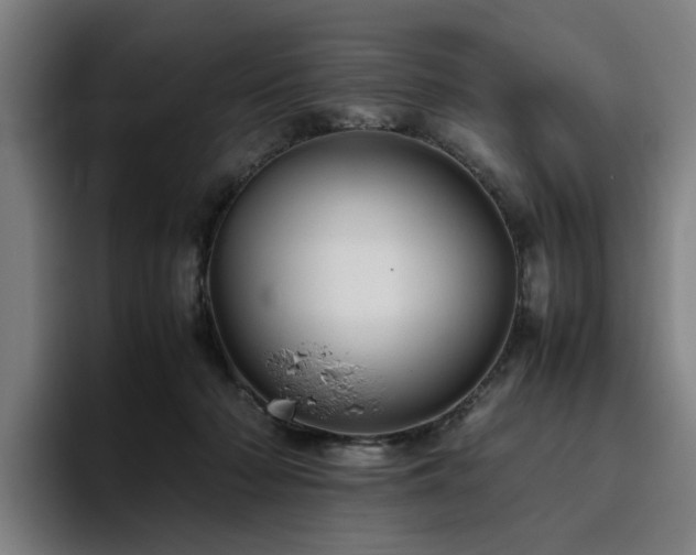 X0000094820318200711161533