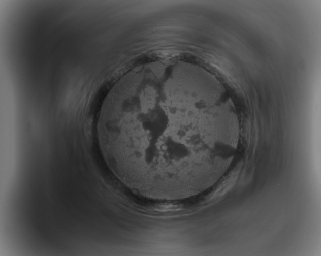 X0000094820319200711161533