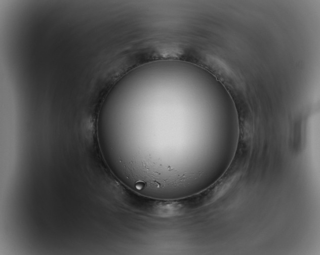 X0000094820321200711161533