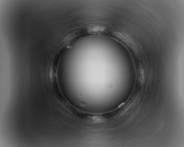 X0000094820324200711161533