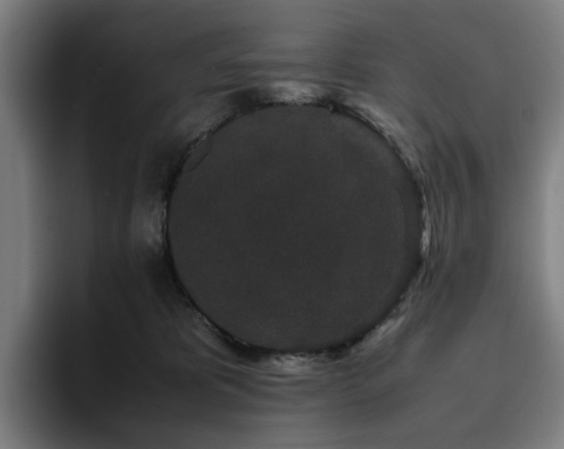 X0000094820325200711161533