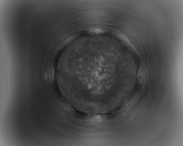 X0000094820330200711161533