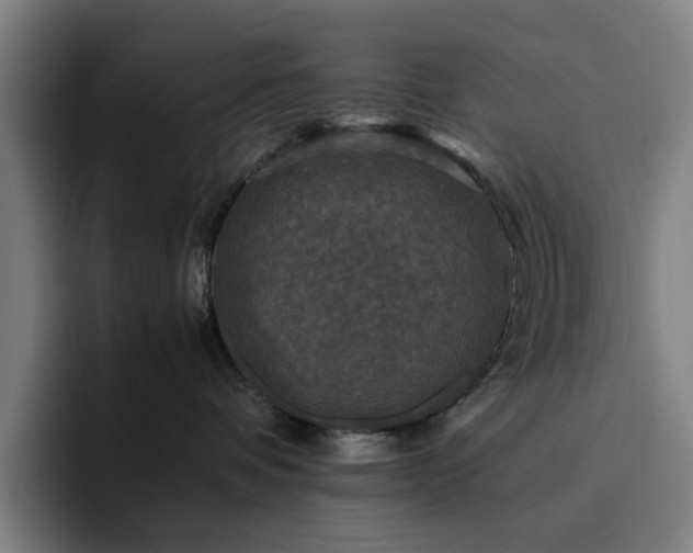 X0000094820336200711161533