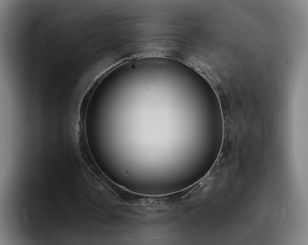 X0000094820338200711161532